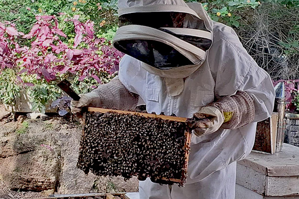 על הדבש ועל העוקץ - יד מרדכי